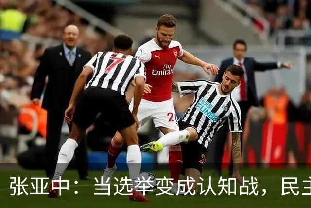 张亚中：当选举变成认知战，民主还有意义吗