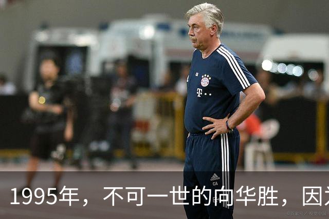 1995年，不可一世的向华胜，因为一根烟，把独宠9年的张敏让给汪雨